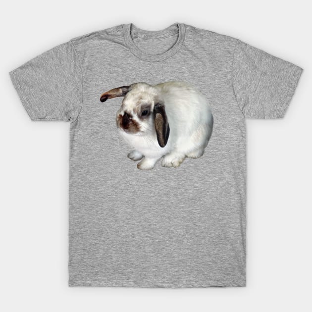 Lop-Eared Bunny T-Shirt by SusanSavad